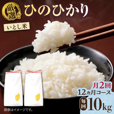 【月2回お届け】【全24回定期便】いとし米 厳選ひのひかり 10kg / 三島商店 [AIM059]