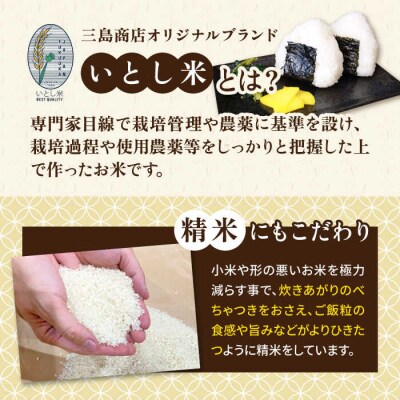 【月2回お届け】【全24回定期便】いとし米 厳選ブレンド 10kg / 三島商店 [AIM061]