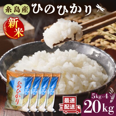 【年内発送】糸島産 ひのひかり 20kg 糸島市/ 三島商店[AIM075]