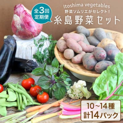 【全3回定期便】糸島 野菜 セット 10～14種 (14パック) /vegeLabo[AJB004]