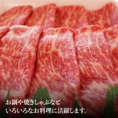 【月限定40個】 希少 和牛 糸島 もも スライス 500g【トラヤミートセンター】[AJD001]