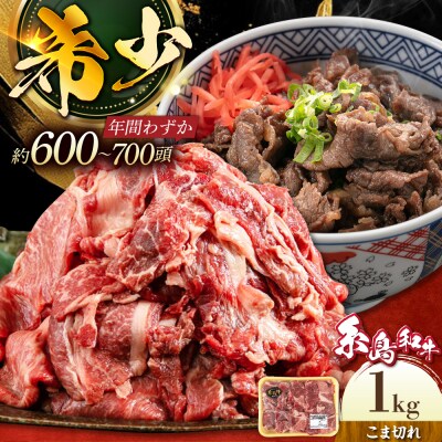 【月限定10個】希少 和牛 糸島 和牛 こまぎれ 1kg / トラヤミートセンター[AJD003]