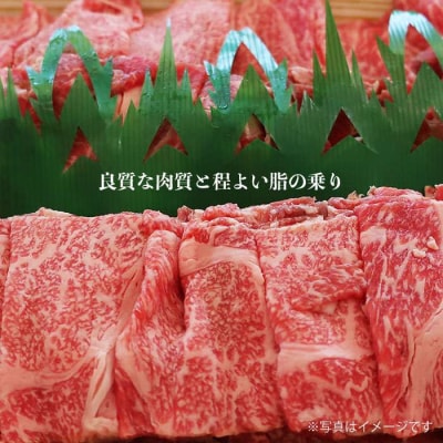 【月限定10個】希少 和牛 糸島 和牛 こまぎれ 1kg / トラヤミートセンター[AJD003]