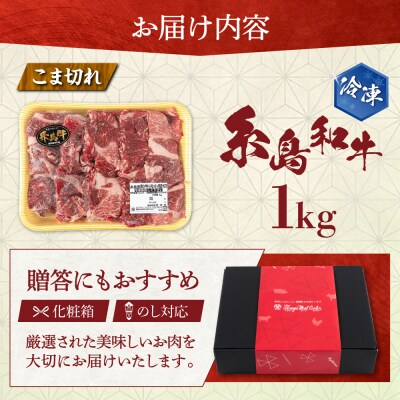【月限定10個】希少 和牛 糸島 和牛 こまぎれ 1kg / トラヤミートセンター[AJD003]