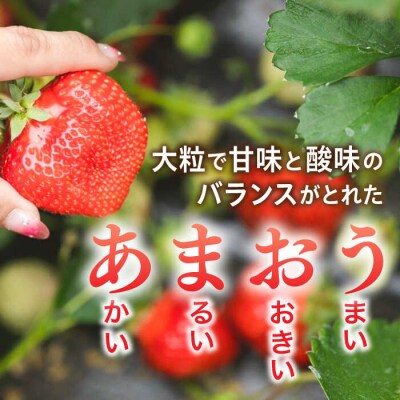 糸島産 完熟あまおう 280g×4パック (デラックスサイズ) / 小河農園[AJN002]