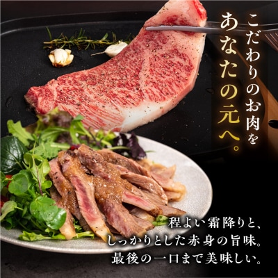博多 和牛 サーロイン ステーキ 200g×3枚《糸島》【ヒサダヤフーズ】[AIA001] 