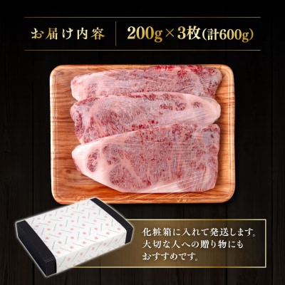 博多 和牛 サーロイン ステーキ 200g×3枚《糸島》【ヒサダヤフーズ】[AIA001] 