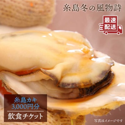 糸島 カキ 3,000円分 飲食 チケット《糸島》【飲食チケット】冬の風物詩[AKD002]