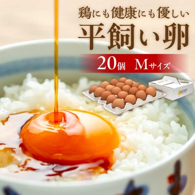 平飼い 卵「天上卵」20個セット 【糸島ファームハウスUOVO】[AKH001]
