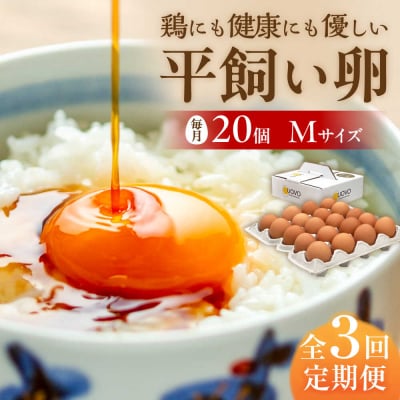 【全3回定期便】平飼い 卵「天上卵」20個セット【株式会社おおはまファーム】 [AKH002]