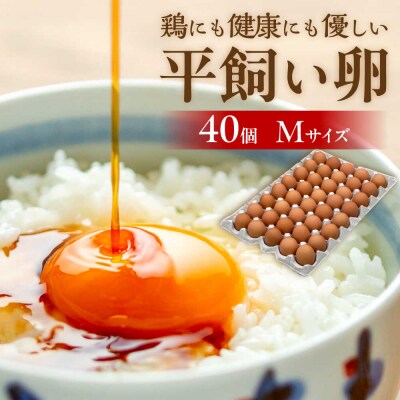 平飼い 卵「天上卵」40個セット《糸島》【糸島ファームハウスUOVO】 [AKH005]