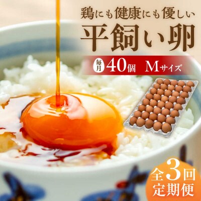 【全3回定期便】平飼い 卵「天上卵」40個セット【株式会社おおはまファーム】[AKH006]