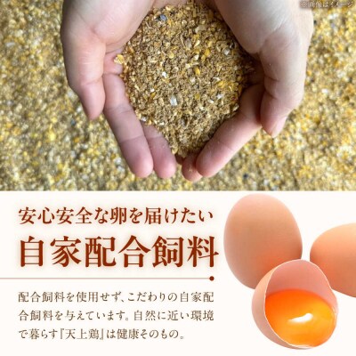 【全3回定期便】平飼い 卵「天上卵」40個セット【株式会社おおはまファーム】[AKH006]