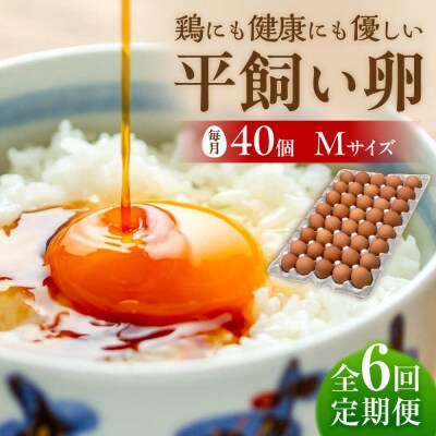 【全6回定期便】平飼い 卵「天上卵」40個セット【株式会社おおはまファーム】[AKH007]