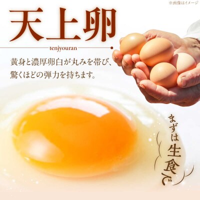 【全6回定期便】平飼い 卵「天上卵」40個セット【糸島ファームハウスUOVO】[AKH007]