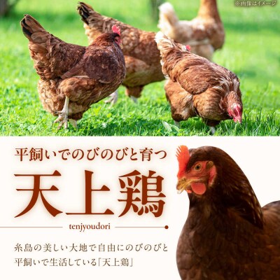 【全6回定期便】平飼い 卵「天上卵」40個セット【糸島ファームハウスUOVO】[AKH007]