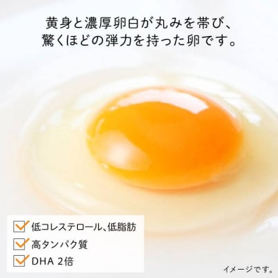 たまごかけご飯セット卵10個/お米 2kg/たまごかけ【株式会社おおはまファーム】[AKH009]