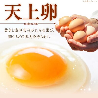 キミとプリン カフェオレ 6個セット 《糸島市》 【株式会社おおはまファーム】 [AKH014]