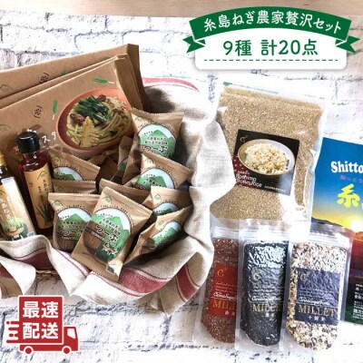 糸島 ねぎ 農家 贅沢セット 9種 20点 《糸島》 【Carna】 [ALA020]