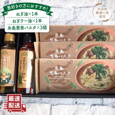 糸島 ねぎ油/葱 香る 麺 ギフトセット 《糸島》 【Carna】 [ALA023]