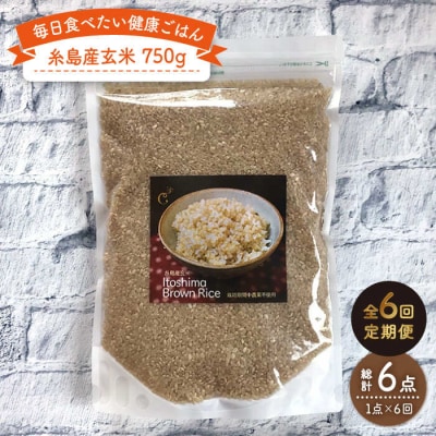 【全6回定期便】 糸島産 玄米 《糸島》 【Carna】 [ALA045]