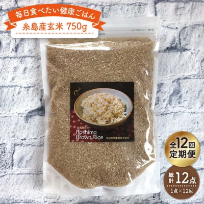 【全12回定期便】 糸島産 玄米 《糸島》 【Carna】 [ALA046]