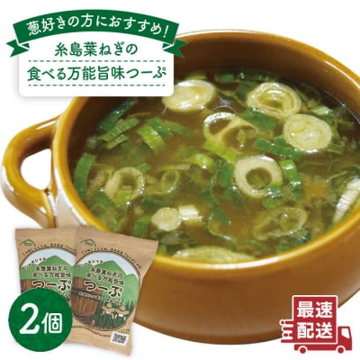 糸島葉ねぎの食べる万能旨味つーぷ2個 糸島市/Carna [ALA047] 即席スープ インスタント