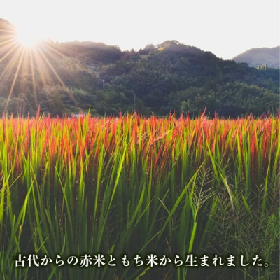 十穀米 糸島市/Carna [ALA055] 雑穀米 雑穀