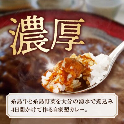 糸島牛の旨みが凝縮!!濃厚海軍カレー5袋《糸島》【ココペリ】レトルト 常備食[ALE003]