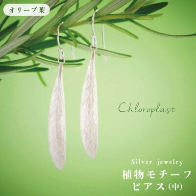 植物モチーフオリーブ葉ピアス (中)【Chloroplast/クロロプラスト】[ALF004]