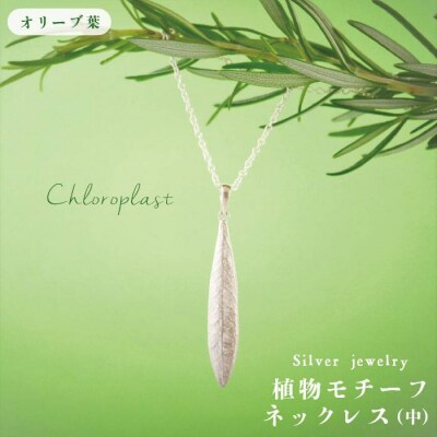 植物モチーフオリーブ葉ネックレス(中)【Chloroplast/クロロプラスト】[ALF005]