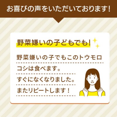 果物みたいに極甘!早朝収穫とうもろこし Lサイズ (300g)× 8本/ウラタ農園[ALI003]