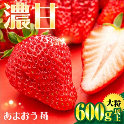 【先行受付】あまおういちご600g以上 【2026年1月以降順次発送】フルコンス[ALO001]