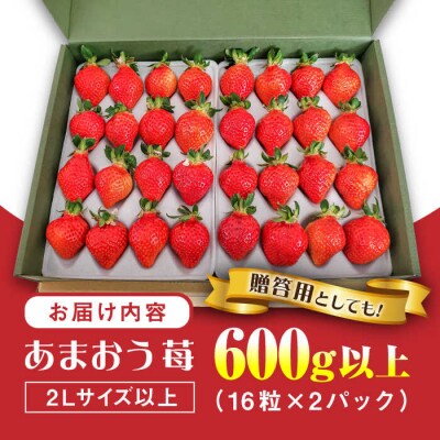 【先行受付】あまおういちご600g以上 【2026年1月以降順次発送】フルコンス[ALO001]