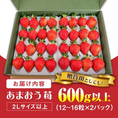 あまおういちご600g以上フルコンス[ALO001]