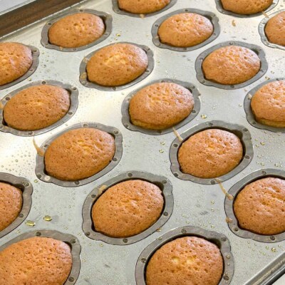 【年内発送】糸島レモンケーキ 8個入り 糸島市/果摘 [ALP001]