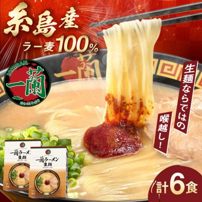 一蘭ラーメン 生麺セット 計6食入 糸島市/一蘭 [AMB014]