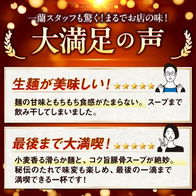 【さとふる限定】一蘭ラーメン 生麺セット 計6食入 糸島市/一蘭 [AMB014]