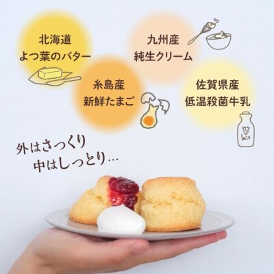 【年内発送】スコーン 6袋セット (5種/6袋 計12個) 糸島市/フルーレ [AME015]