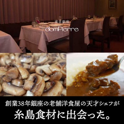 【銀座の老舗洋食屋ドンピエール】黒毛和牛の欧風カレー200g×2パック(2人前)[AMJ003]