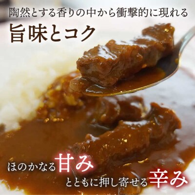 【銀座の老舗洋食屋ドンピエール】黒毛和牛の欧風カレー200g×2パック(2人前)[AMJ003]