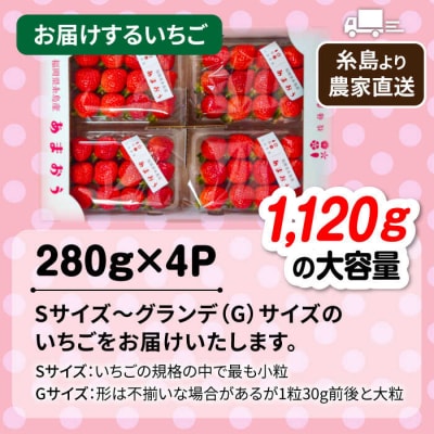 【農家直送!】糸島産あまおう280g×4パック(Sサイズ～Gサイズ) 後藤農園 [AML003]