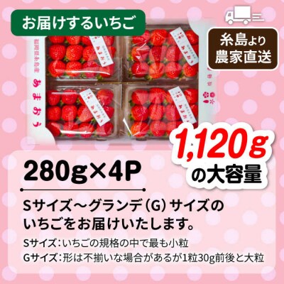 【農家直送 先行受付】 糸島産あまおう280g × 4 (Sサイズ-Gサイズ)  [AML003] 