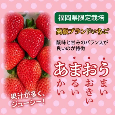 【全2回定期便】【農家直送!】糸島産あまおう280g×2パック(DXまたはGサイズ)[AML005]