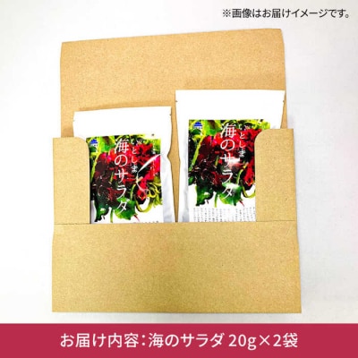糸島の乾物 海藻 いとしま 海のサラダ 2袋《糸島》【山下商店】【いとしまごころ】[ANA012]