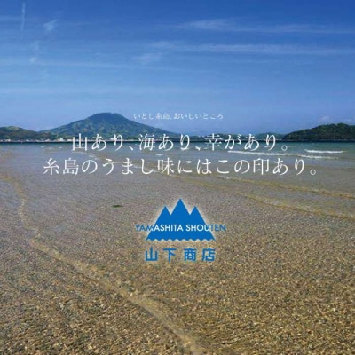 糸島の乾物 海藻 こんぶのこ-こんぶの粉-2袋《糸島》【山下商店】【いとしまごころ】[ANA025]
