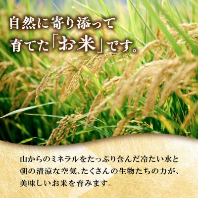 糸島産 雷山のふもと 栽培期間中農薬不使用の米5kg ツバサファーム [ANI001]