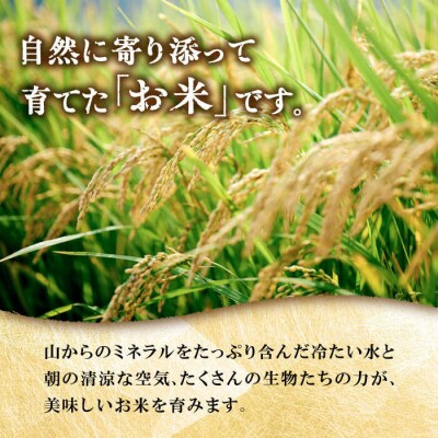 糸島産雷山のふもと栽培期間中農薬不使用の米10kg(5kg×2)ツバサファーム[ANI002]