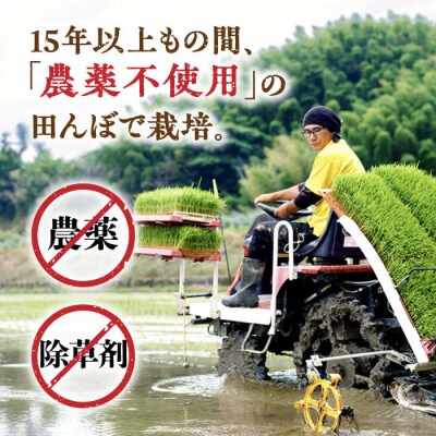 糸島産雷山のふもと栽培期間中農薬不使用の米10kg(5kg×2)ツバサファーム[ANI002]