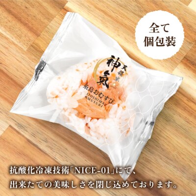 【白米】冷凍 おむすび 20個(10種×各2個)セット 糸島おむすび 神氣 [ANL002]